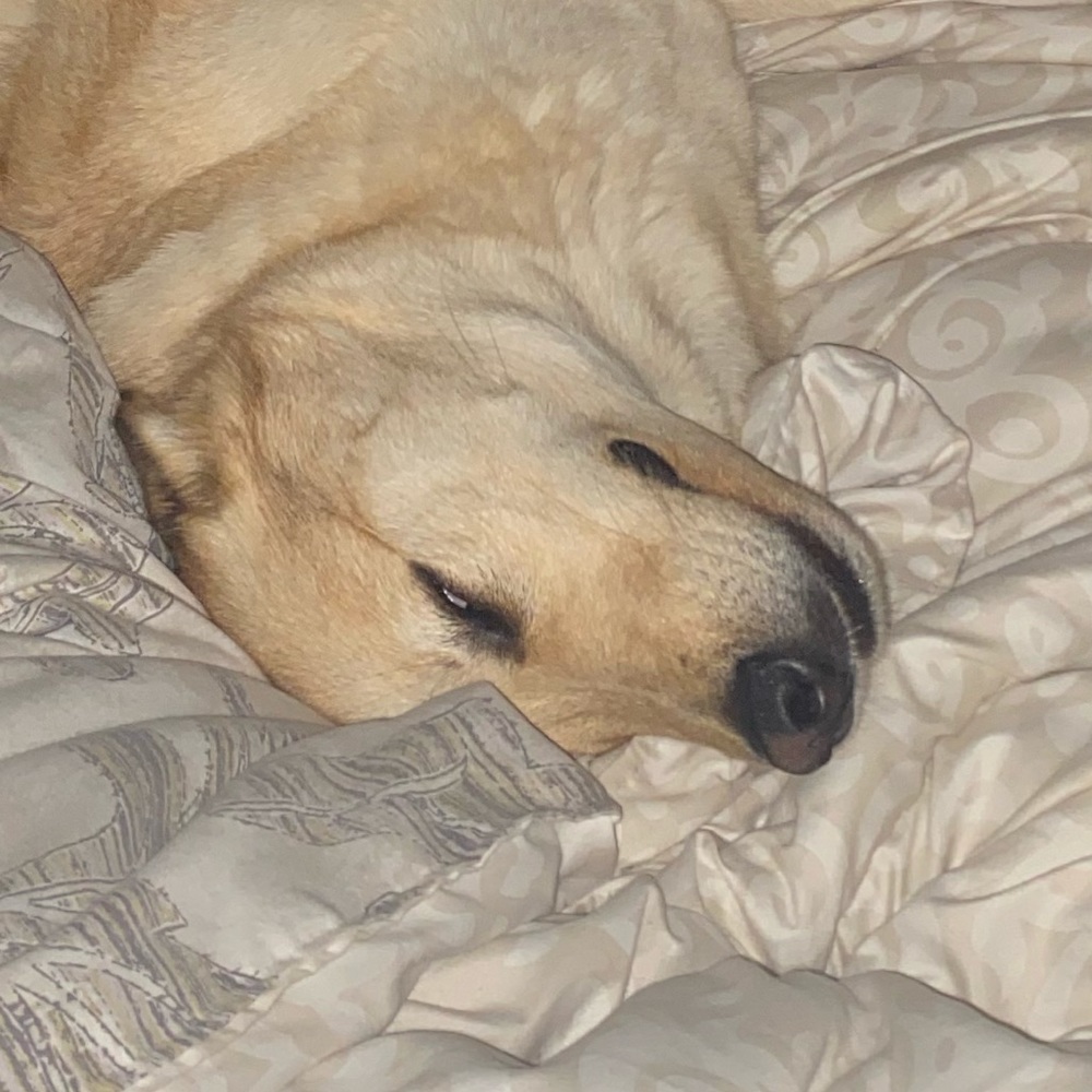 Meet your Posher, Kyler